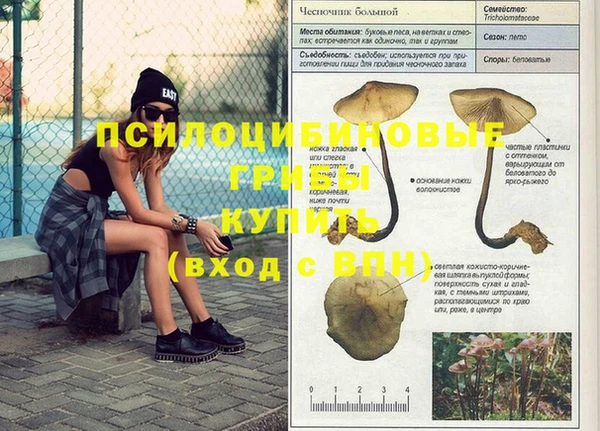 кокаин премиум Горнозаводск