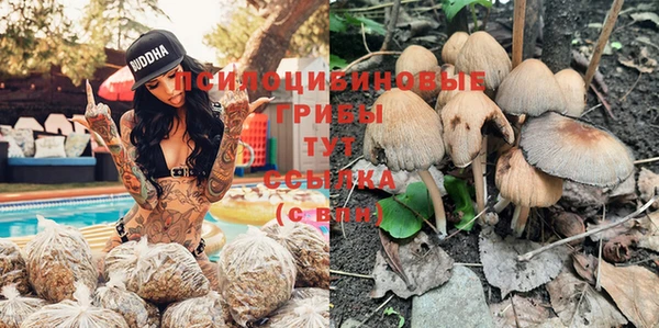 альфа пвп Горняк