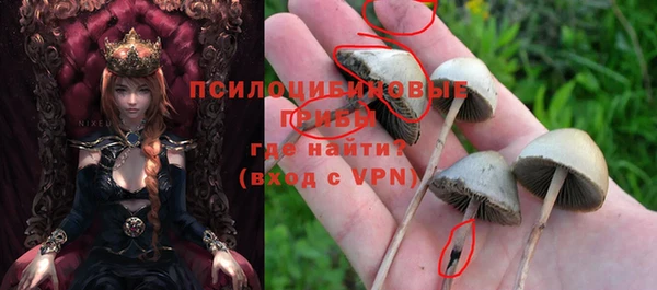 твердый Артём